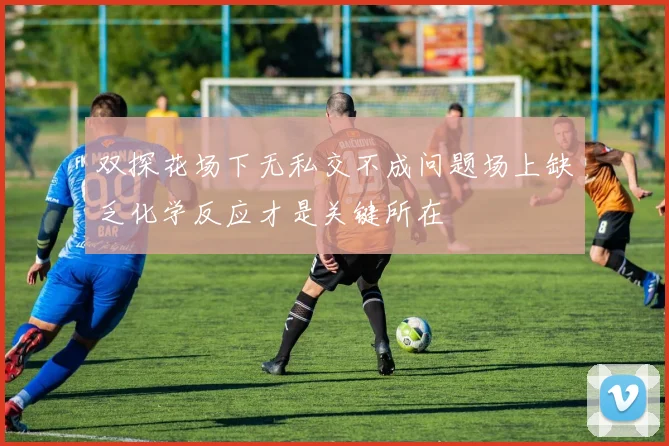 双探花场下无私交不成问题场上缺乏化学反应才是关键所在